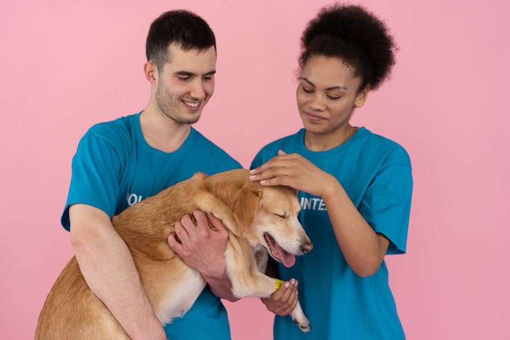 Dos voluntarios sonriendo y acariciando a un perro