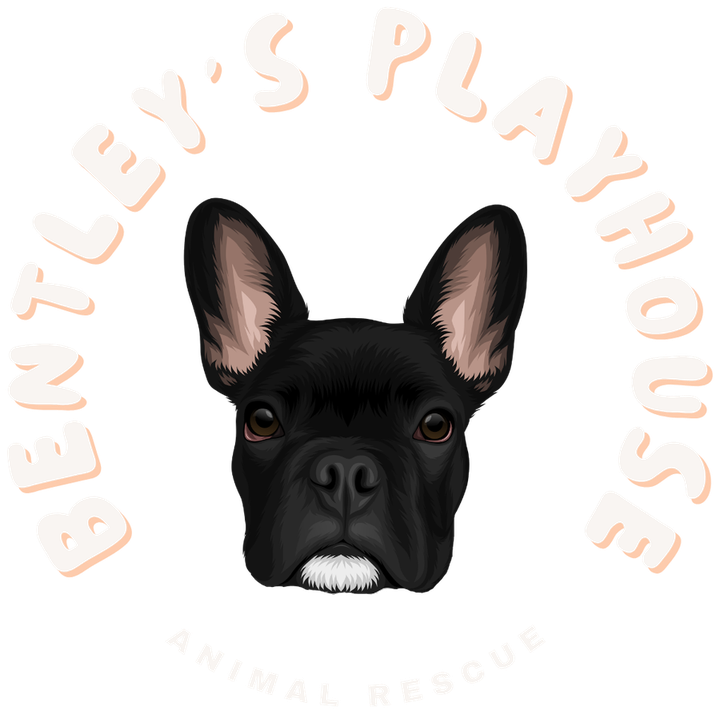 Bentley's Playhouse Animal Rescue, home