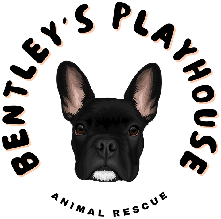 Bentley's Playhouse Animal Rescue, home